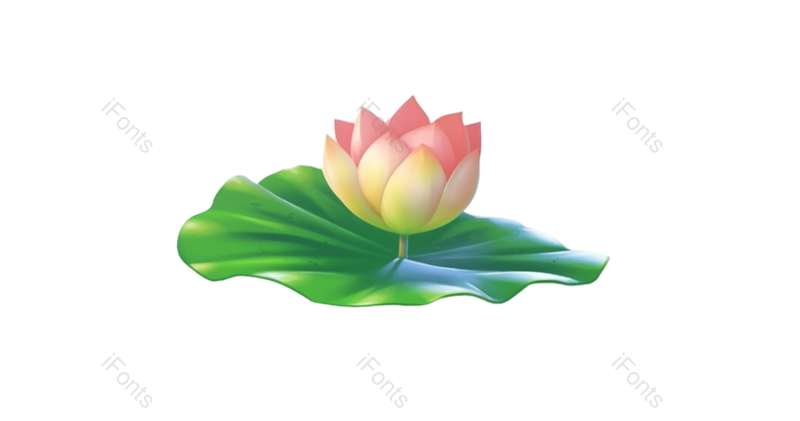 装饰图片,夏至元素,清新PNG,荷花免抠素材